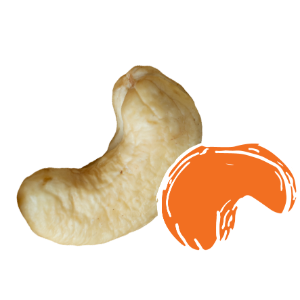 Cashews
