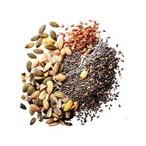 Seeds